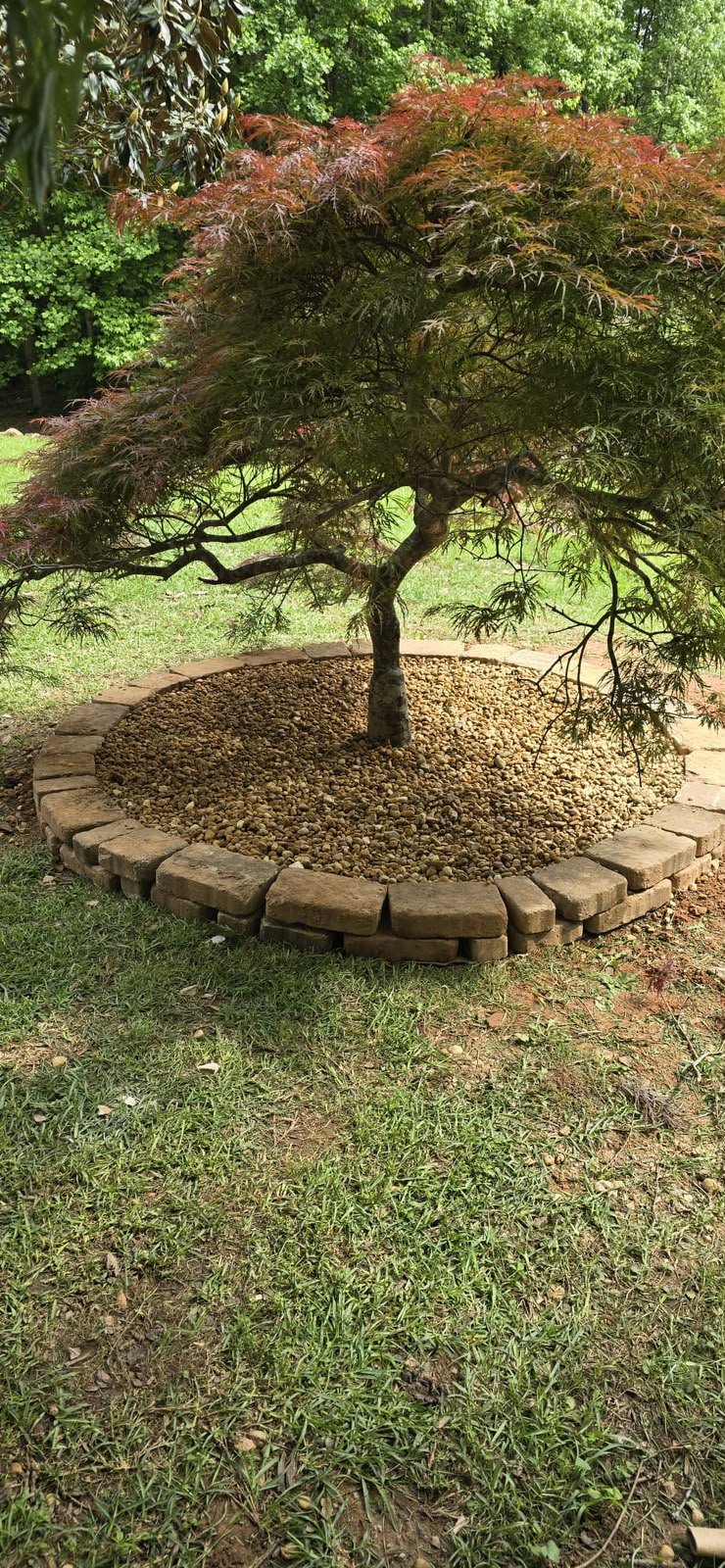 Well-maintained residential landscape in North Georgia